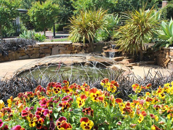 BAPTCARE AMBERLEA pond in garden courtyard