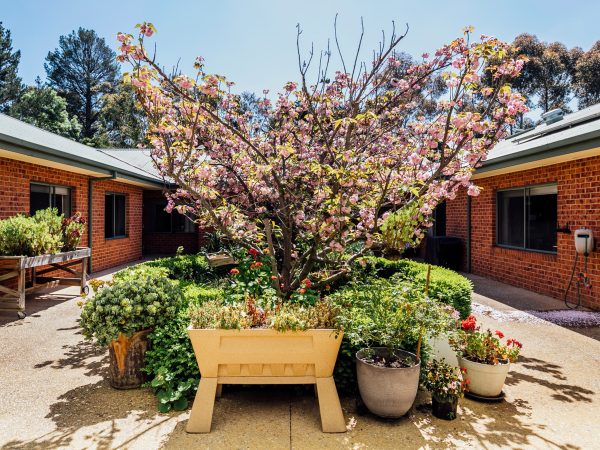 BAPTCARE PENINSULA VIEW courtyard garden with blossoms